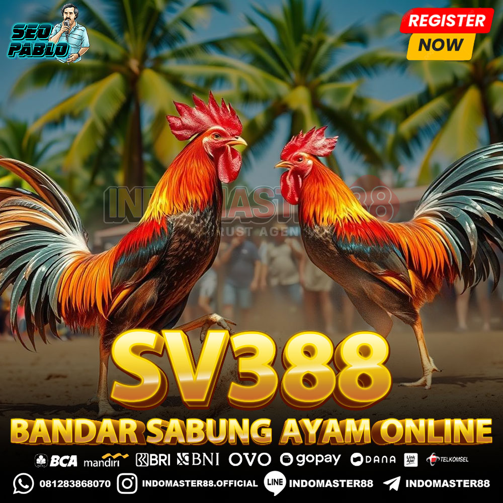 SV388 ⚡️ Bandar Sabung Ayam Online Resmi No. 1 Terpercaya 2025