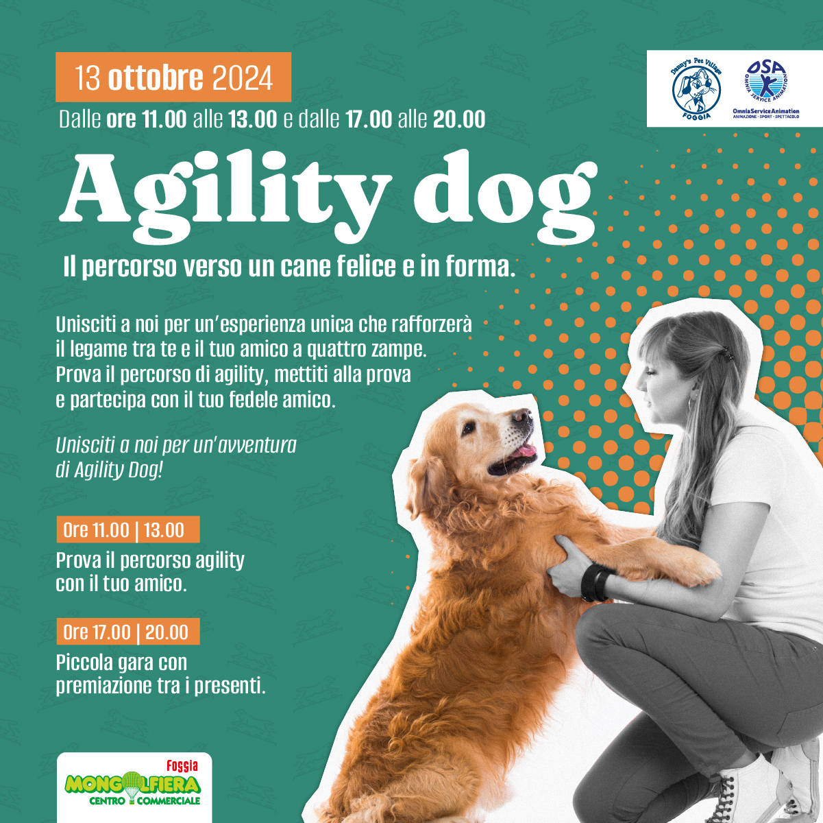 Agility Dog