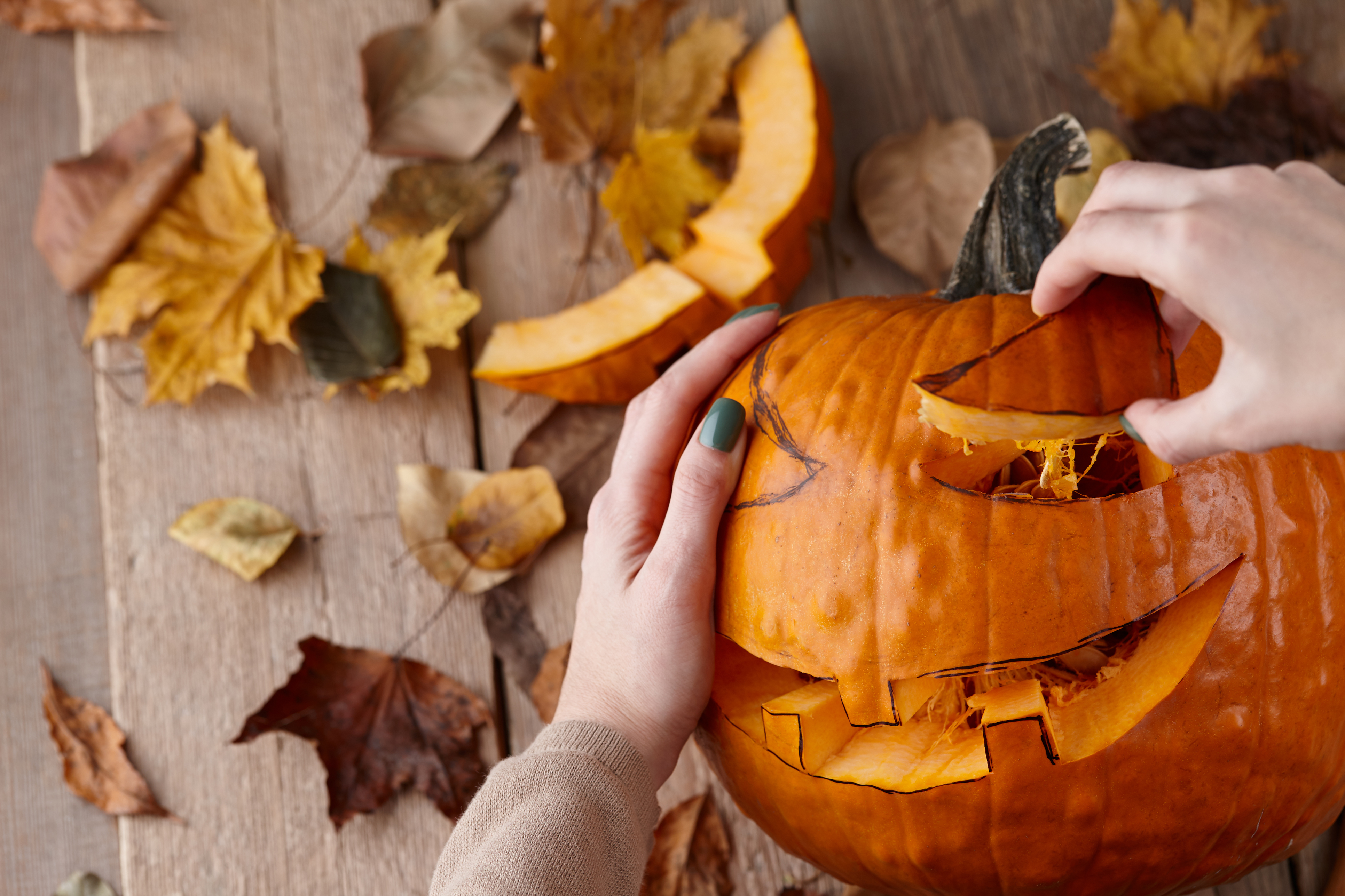 Una zucca, mille modi per divertirsi!