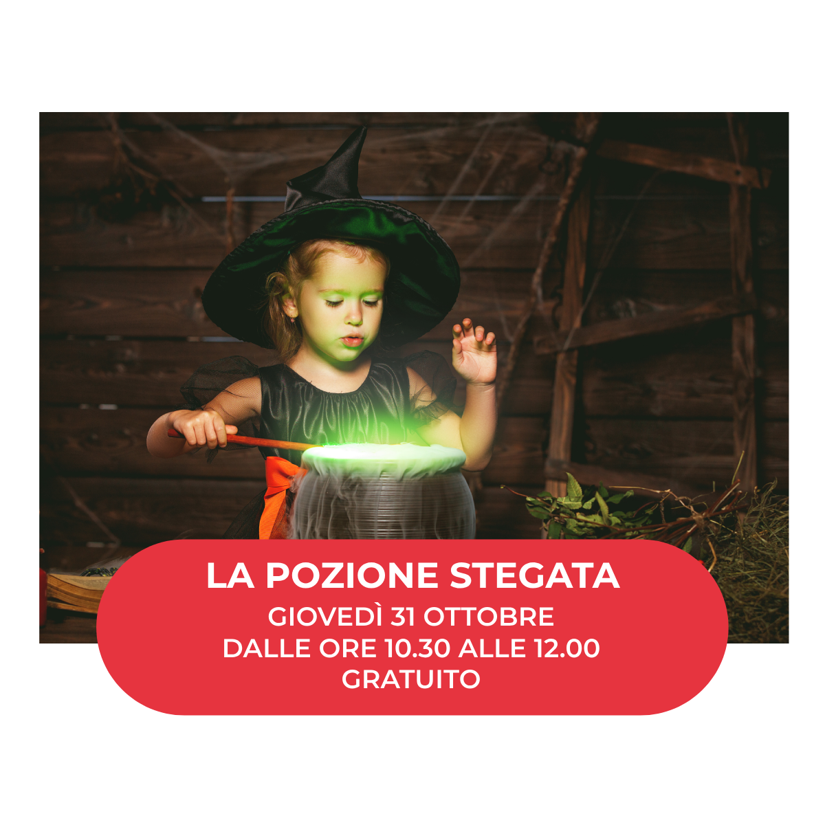 La pozione stregata