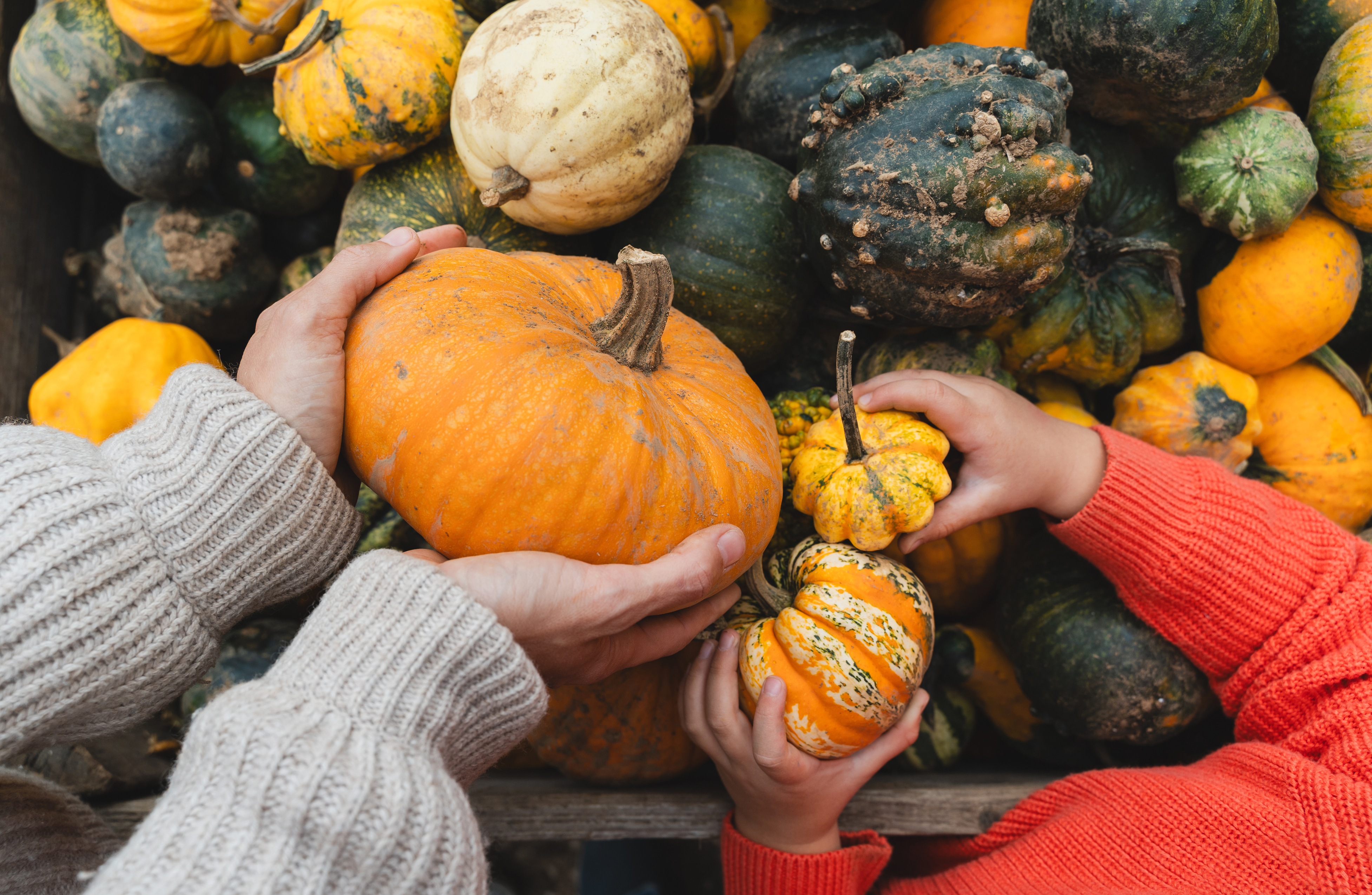 Una zucca, mille modi per divertirsi!