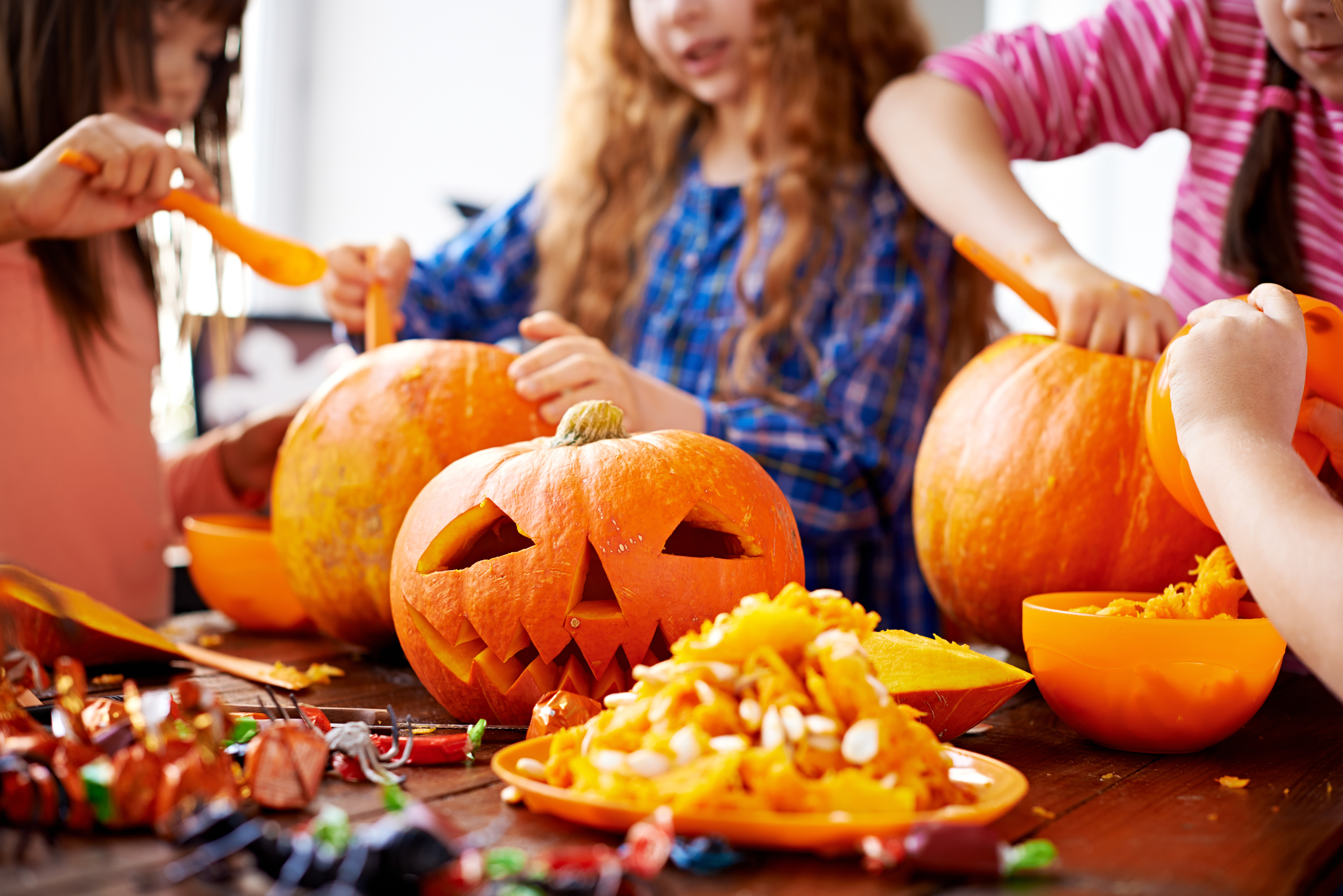 Una zucca, mille modi per divertirsi!